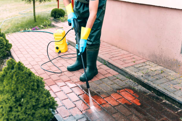 Best House Pressure Washing  in Gateway, AK