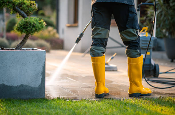 Best Local Pressure Washing Services  in Gateway, AK